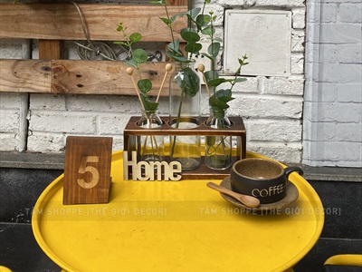 Bộ khung gỗ chữ nhật kèm lọ thuỷ tinh cắm hoa thuỷ canh [3 màu - 3 size] BINHLOHOA-05